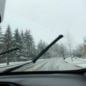 Meet your Posher, Katrina